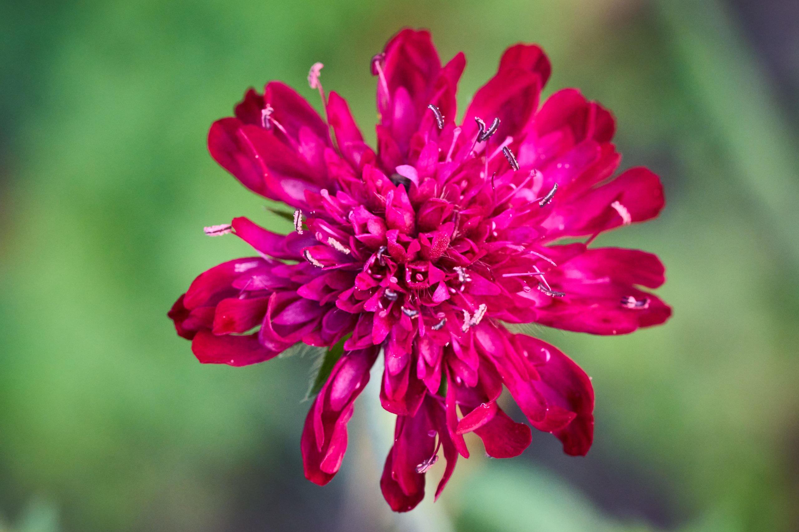 2025 11 02 Gruga 0062